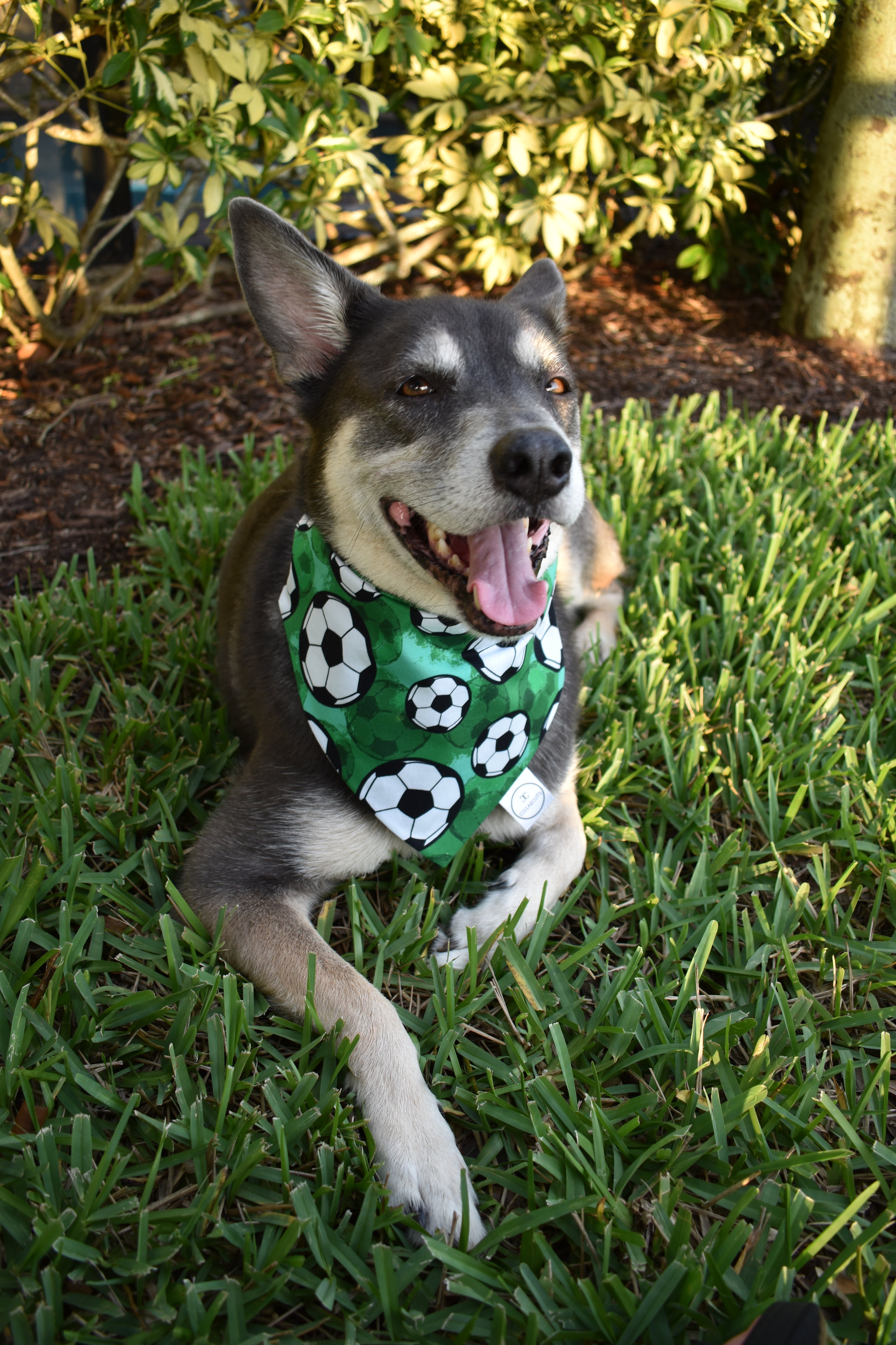 Soccer Bandana