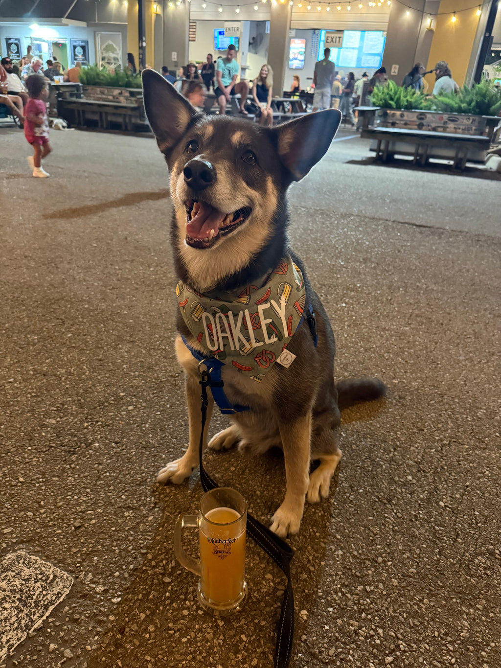 Oktoberfest Bandana