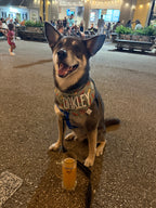 Oktoberfest Bandana