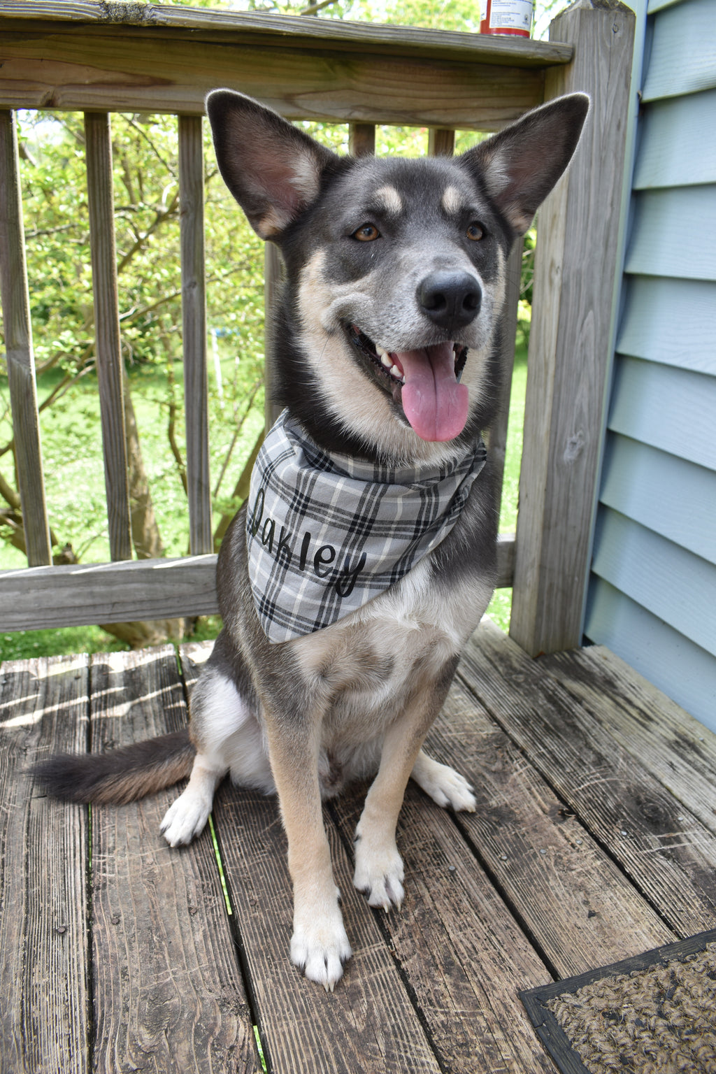 Gray and Black Bandana