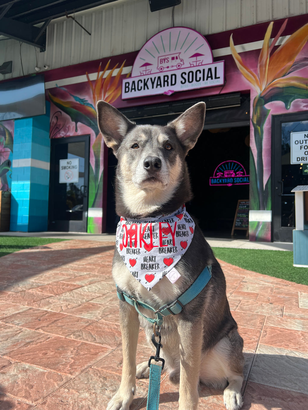 Heart Breaker Bandana