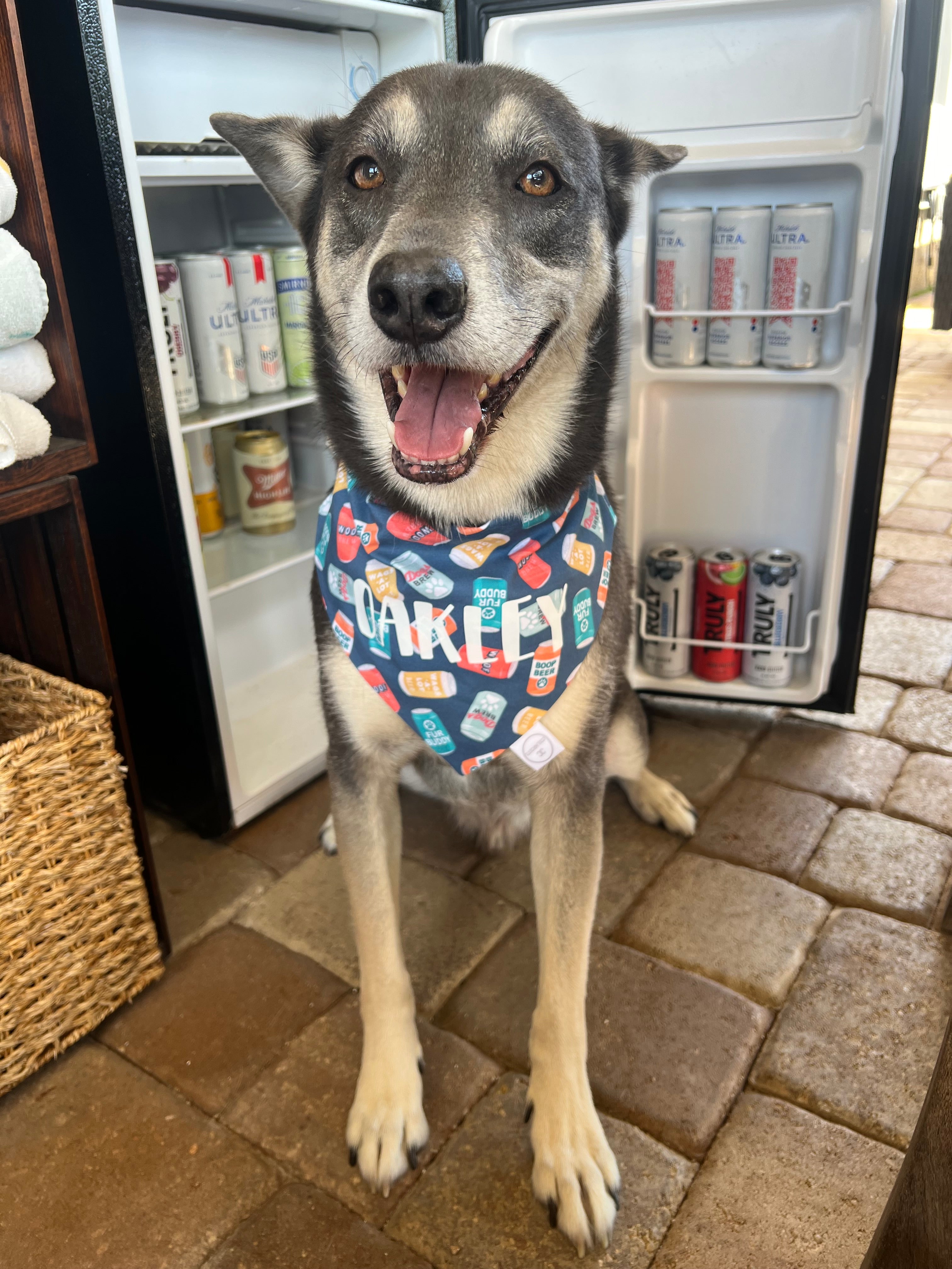 Boop Beer Bandana