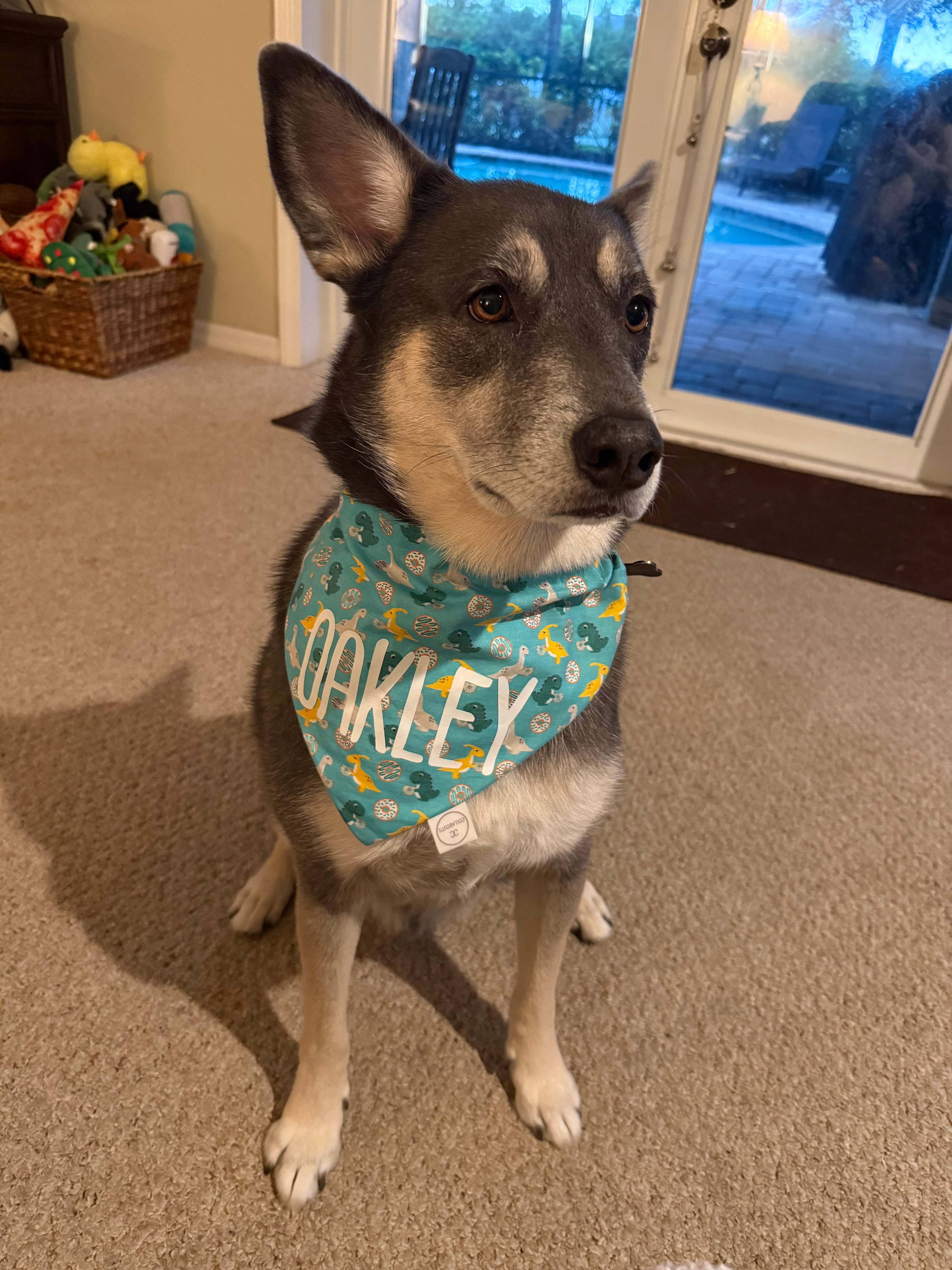 Dino Donuts Bandana