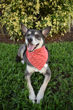 Diamond Arrows Bandana