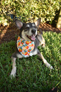 Oranges Bandana