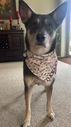 Howdy Cowboy Bandana