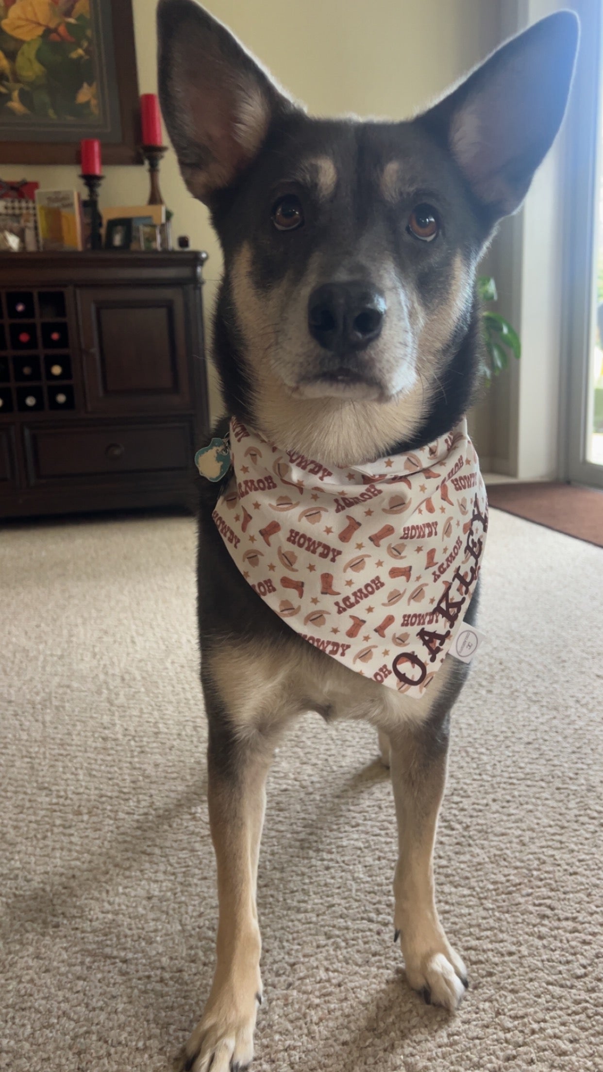 Howdy Cowboy Bandana