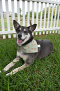 Highland Cow Plaid Bandana