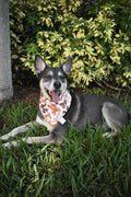 Fall Bows Bandana