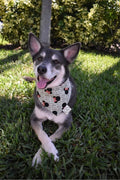 Miss Mouse Bow Bandana