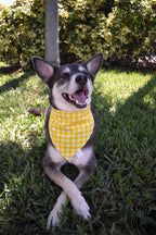 Classic Buffalo Check Bandana