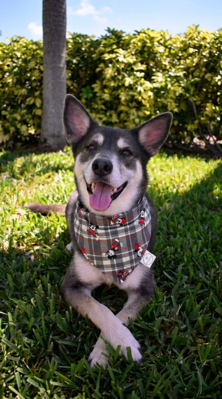 Plaid Magical Mouse Bandana