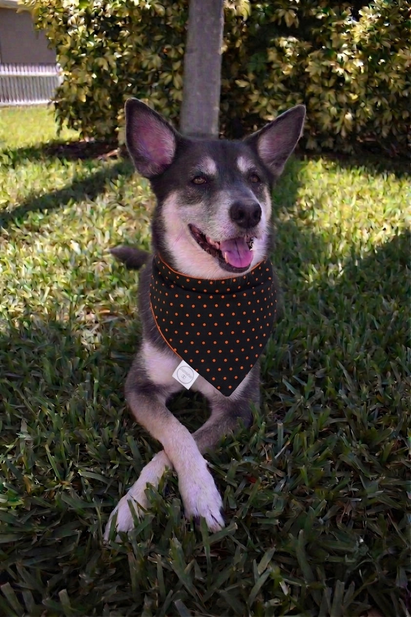 Reversible Halloween Polka Dot Bandana