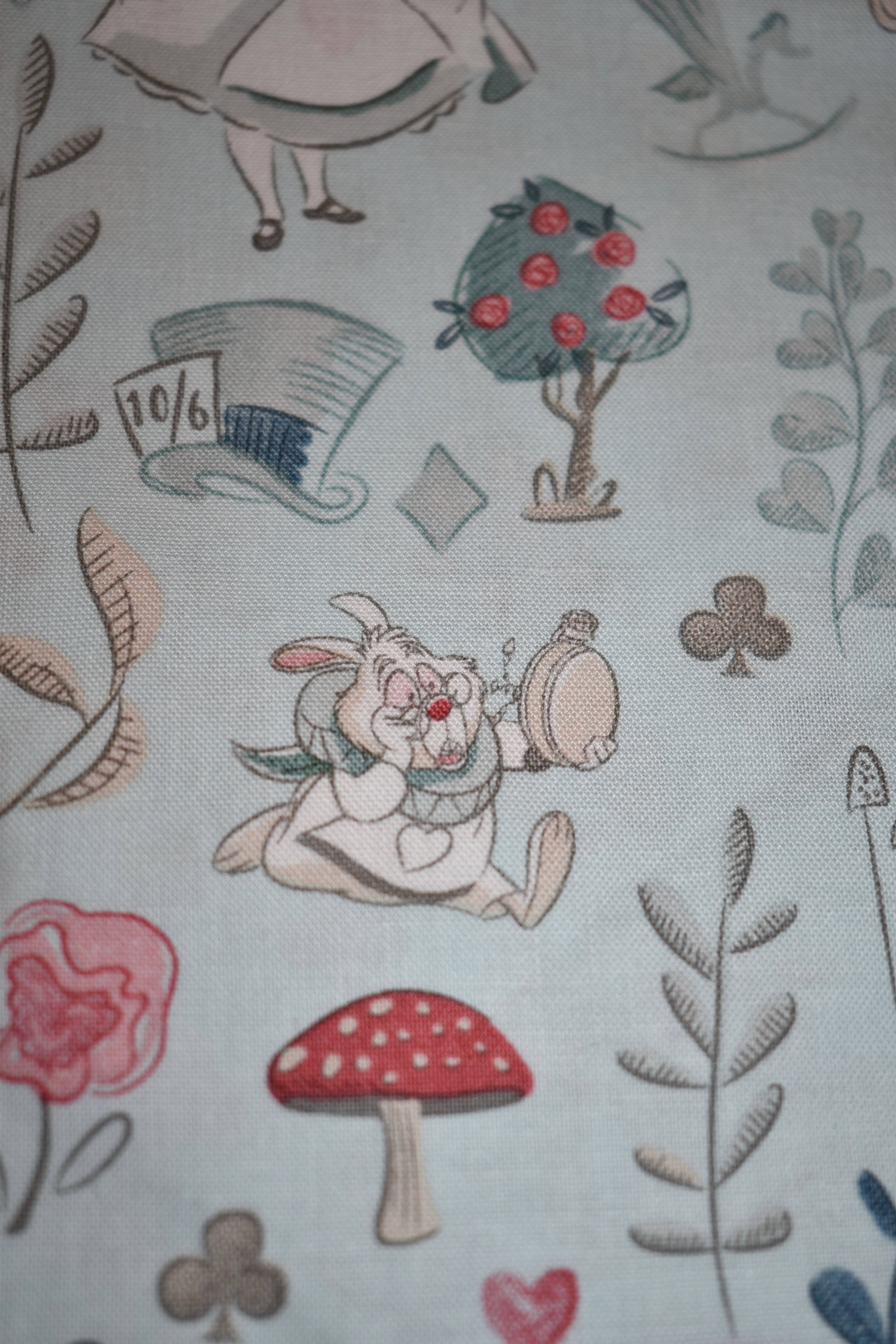 Wonderland Bandana