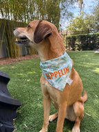 Silly Goose Bandana