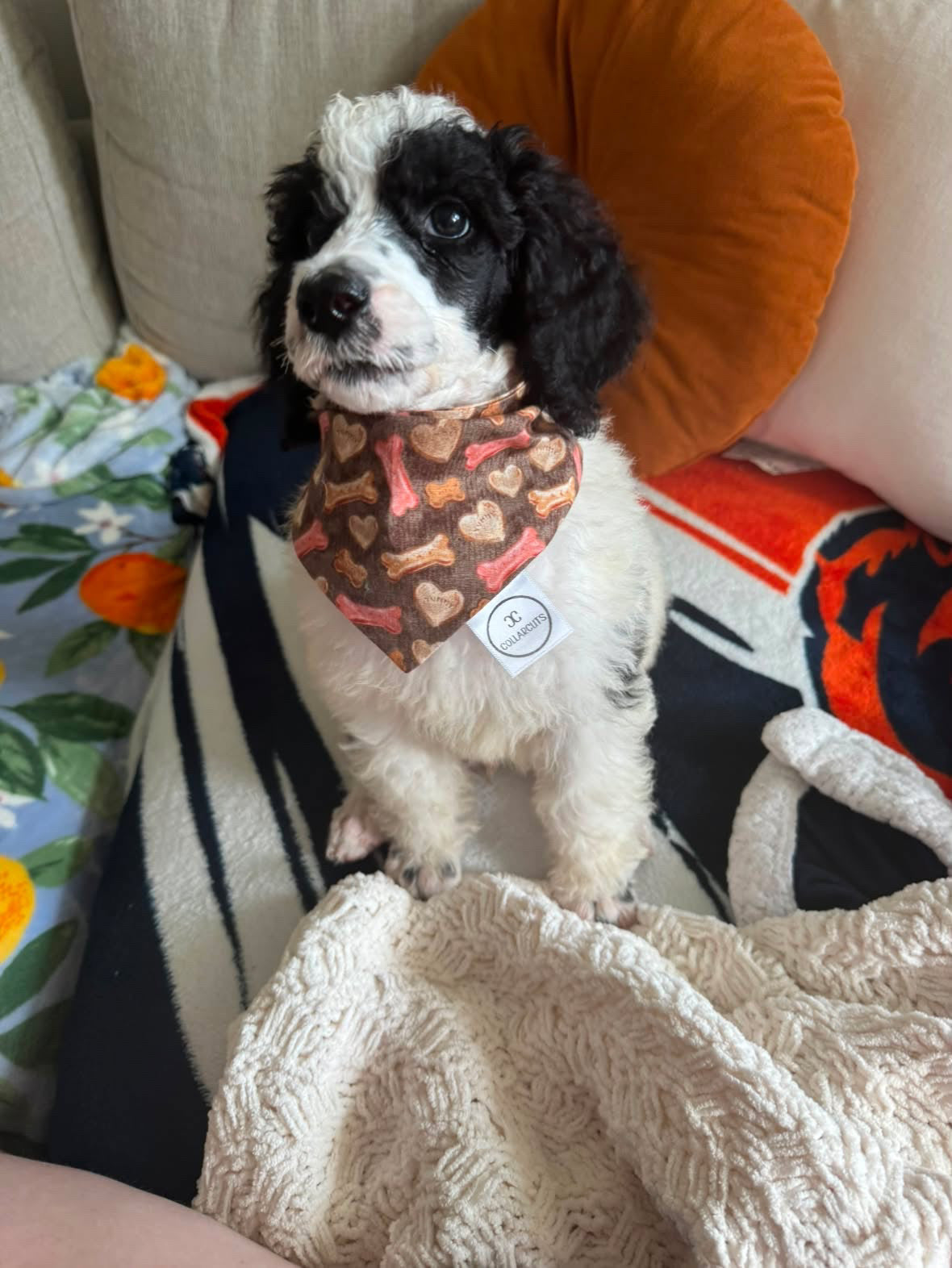 Dog Bones Bandana