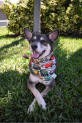 Radiator Springs Bandana