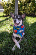Ka-Chow Bandana