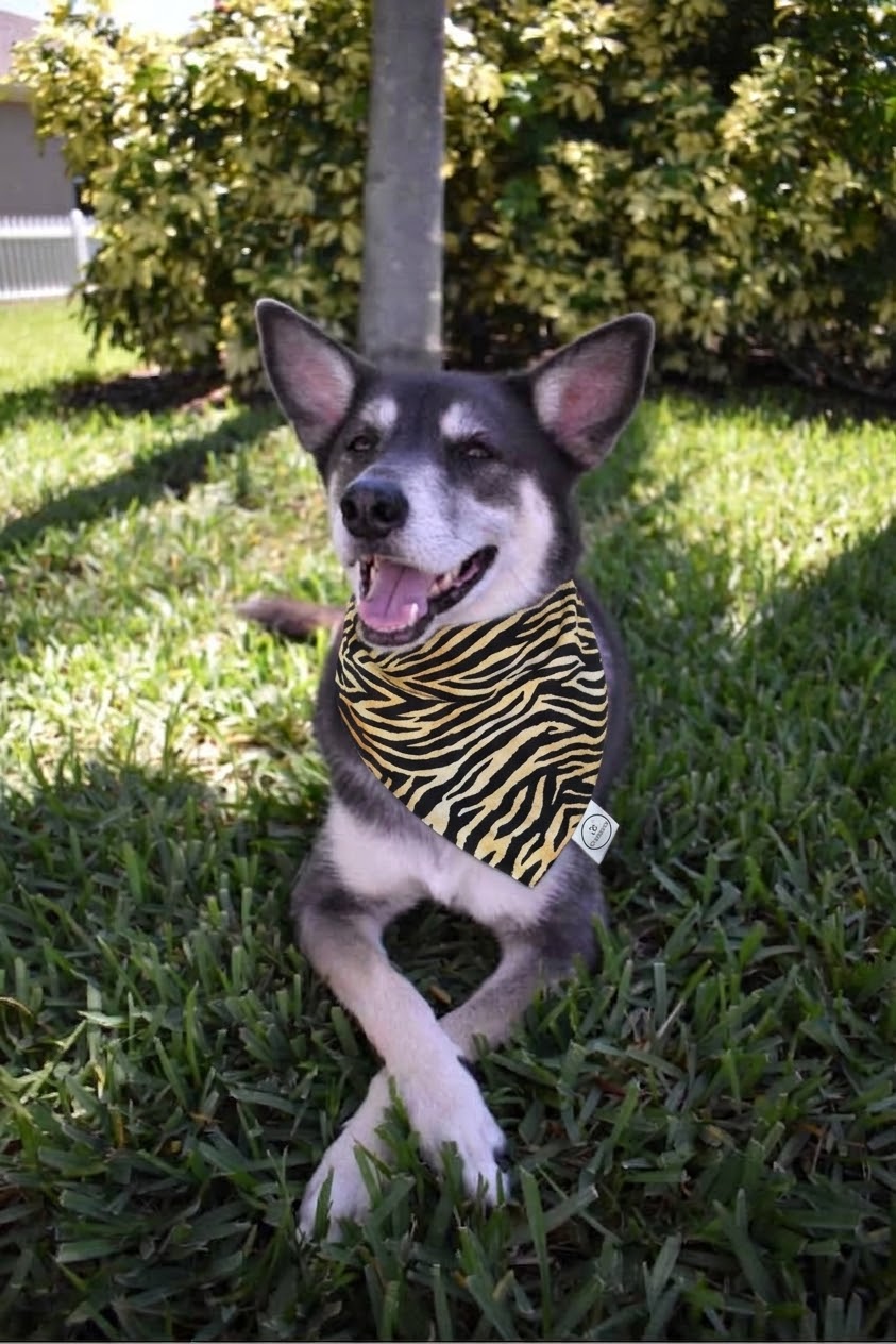 Tiger Stripes Bandana