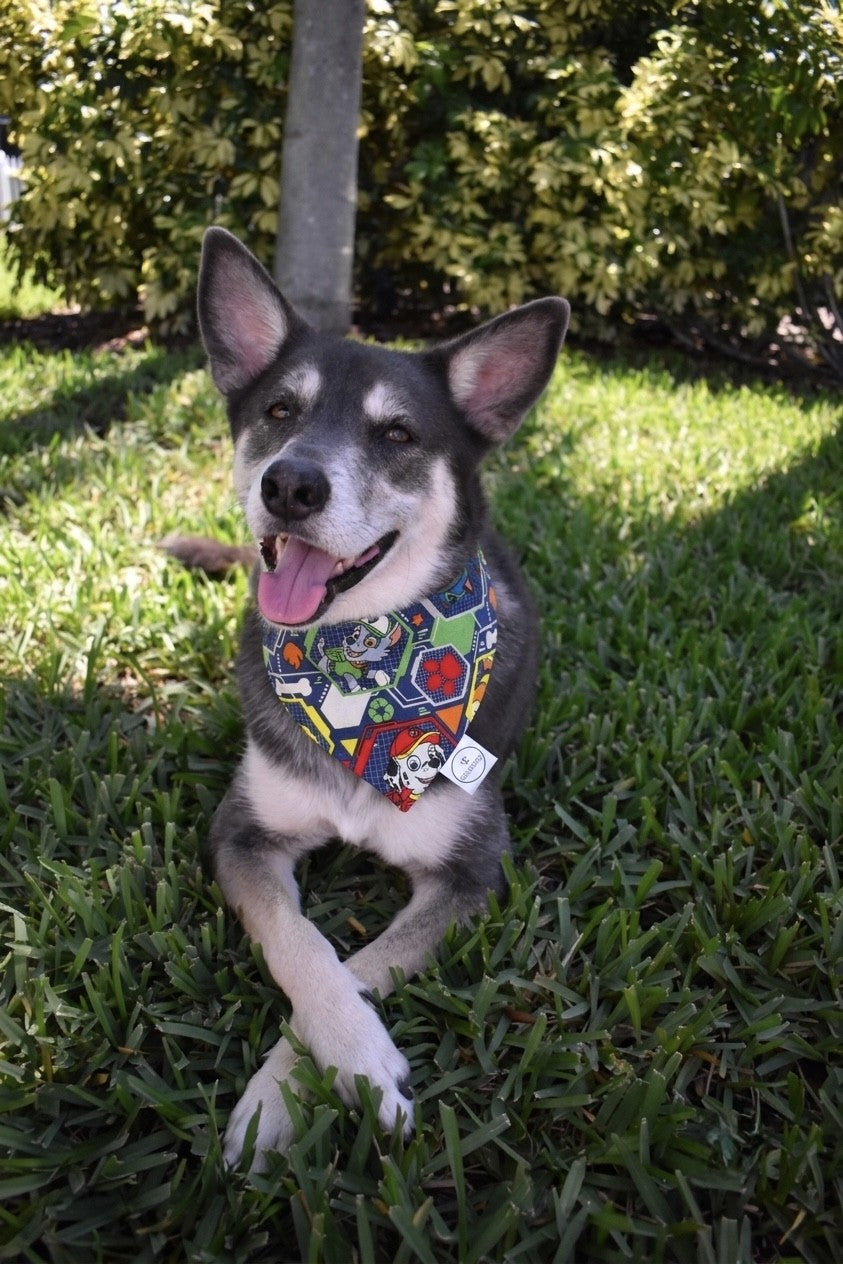 Paw Patrol Bandana