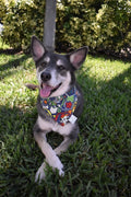 Paw Patrol Bandana