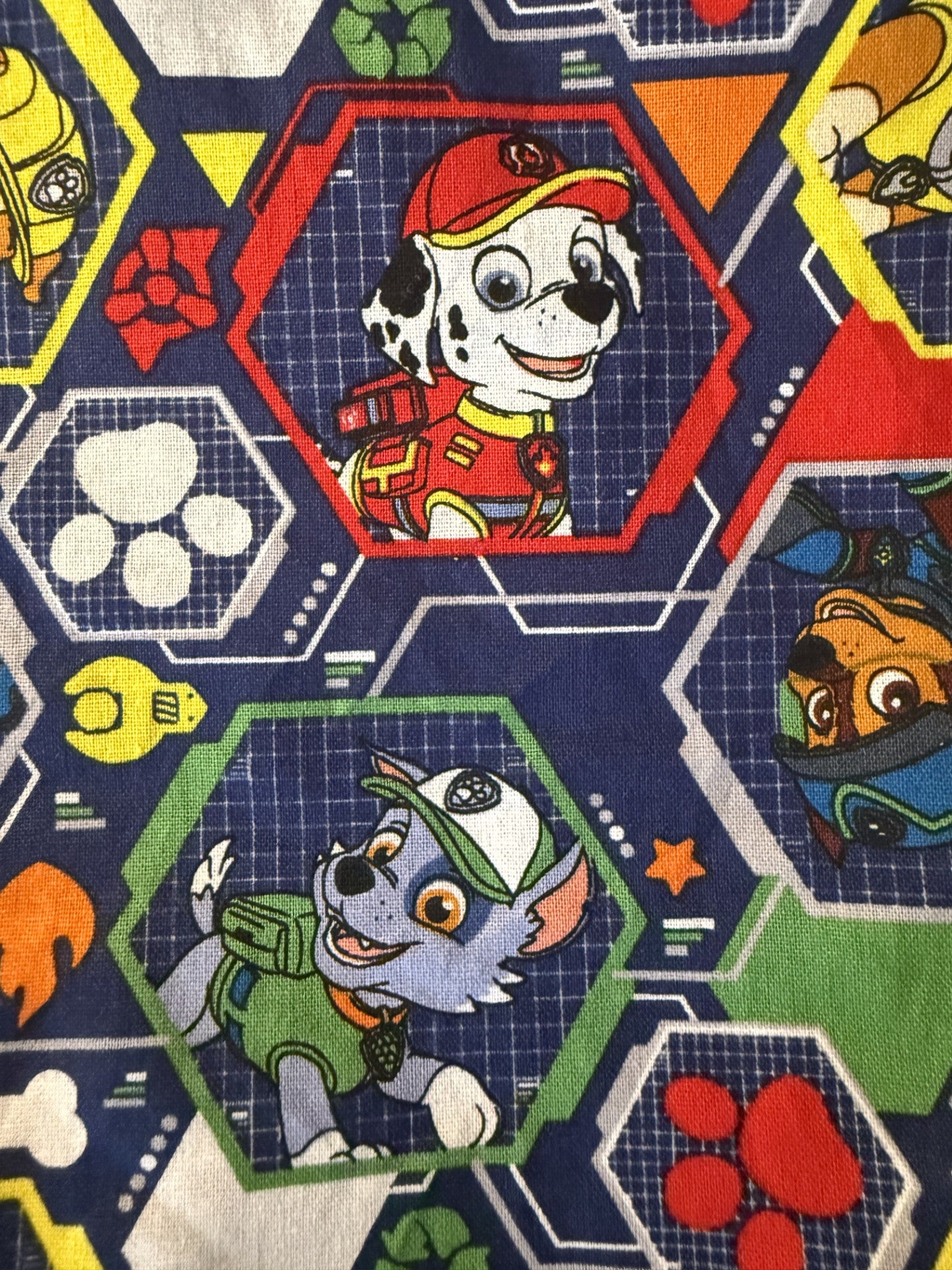 Paw Patrol Bandana